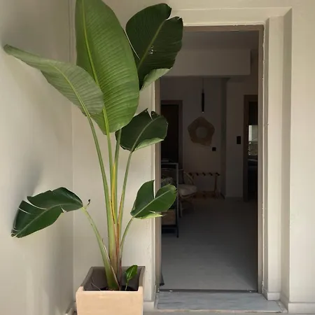 Cosy Casa 4 Στούπα