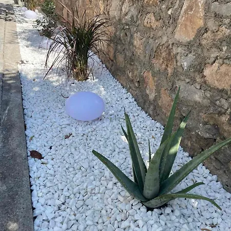 דירה Cosy Casa 4