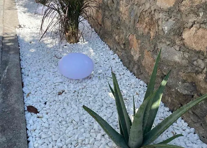 דירה Cosy Casa 4